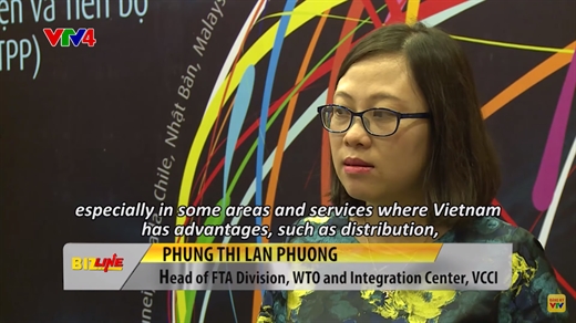 Ms. Phung Thi Lan Phuong - Head of FTA, WTO Center and integration, VCCI