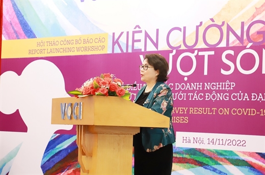 Chủ tịch Hội đồng Doanh nhân nữ Việt Nam (VCCI) - Nguyễn Thị Tuyết Minh phát biểu 